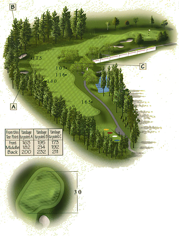 Hole 14 Par 4